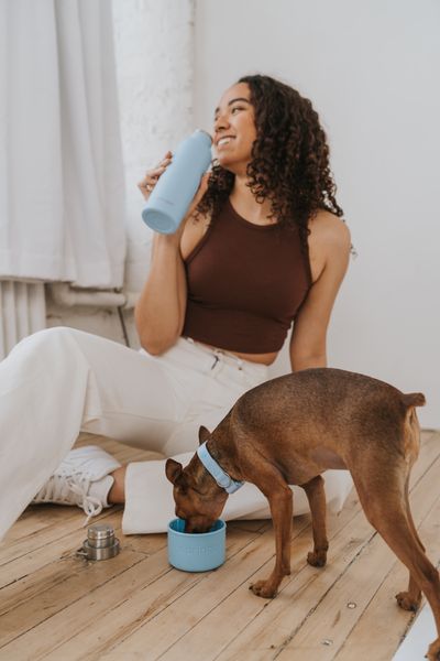 Reisfles dog & me blauw 0,7 l