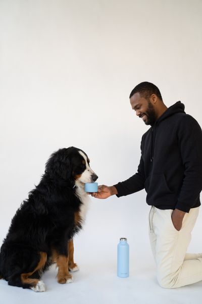 Reisfles dog & me blauw 0,7 l