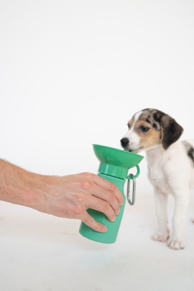 Reisfles mini groen 0,44 l