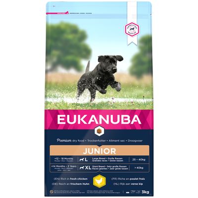 Euk dog developing junior large breed
