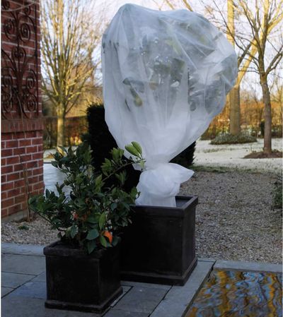 Winterafdekvlies 2x5m wit 30g/m²