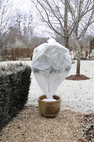 Gaine d'hivernage Ø64cmx10m blanc 30g/m²