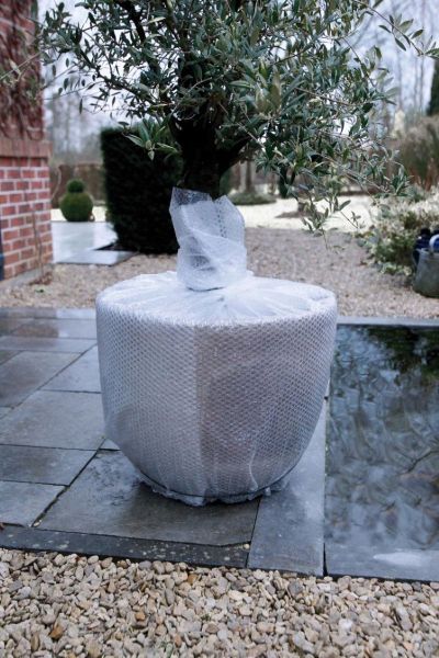 Winternoppenfolie op rol 0,50x5m Ø10mm