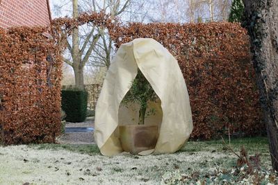 Housse d'hivernage 200xØ150cm beige 70g/m² avec fermeture zippée