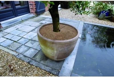 Kokosschijf Ø30cm 3 stuks