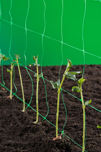 Klim-groei-geleidenet 2x5m groen