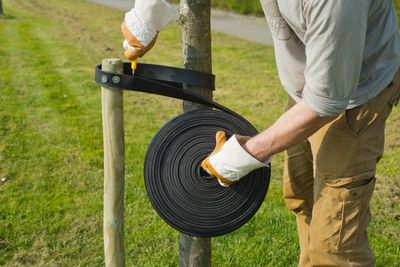 Spijkerboomband zwart 4cm rol 15m