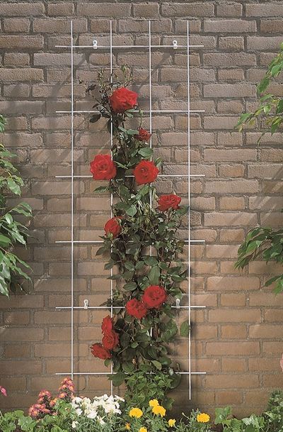 Metalen klimrek groen