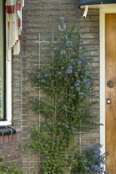 Metalen klimrek groen