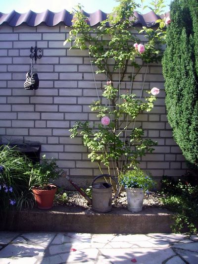 Metalen klimrek V-vorm grijs