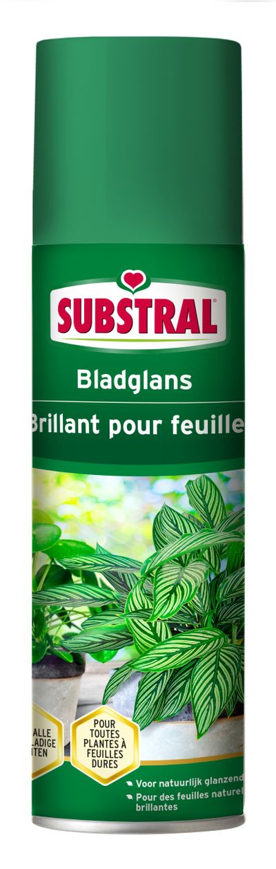 Bladglans 250ml