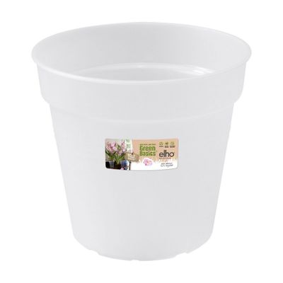 Green basics orchidee 17
