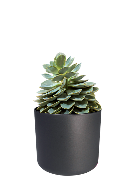 SOFT ROND 18CM ANTRACIET