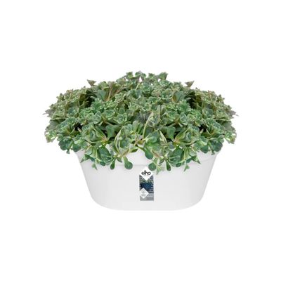 Loft urban wandbak 40 wit