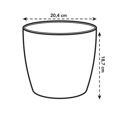 Diamond orchidee hoog 20cm