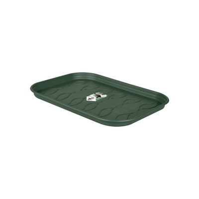 Green basics plateau culture soucoupe l