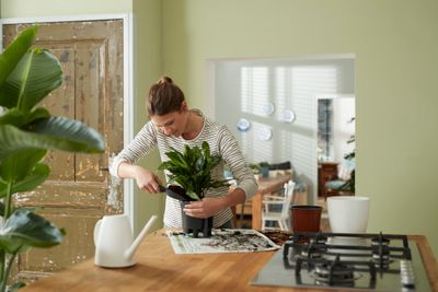 SELF-WATERING INSERT 21CM LIVING BLACK