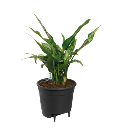 SELF-WATERING INSERT 44CM LIVING BLACK