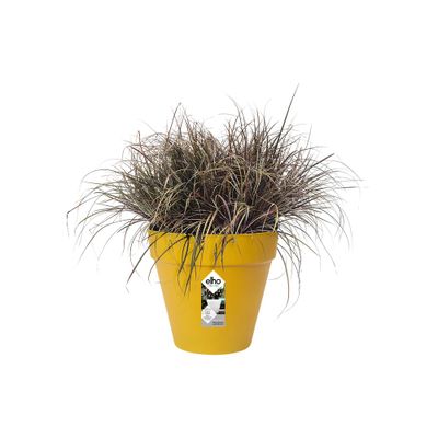 Loft urban rond 25 ocre