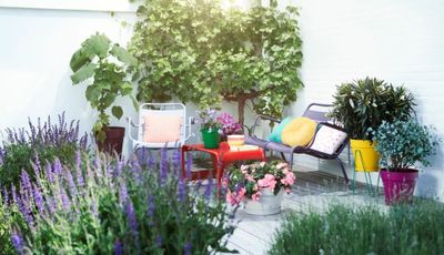 Loft urban rond 30 oker