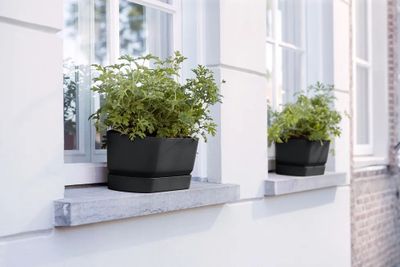 Greenville trough long 50 living black
