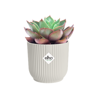 Pot vibes fold 9cm zijdewit