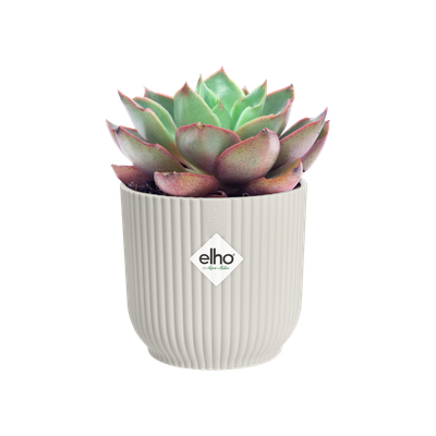 Pot vibes fold 9cm zijdewit