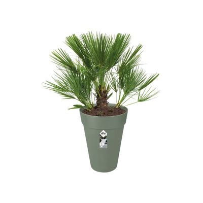 Loft urban rond haut 35 vert pistache