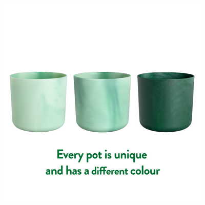 The Ocean Collection 22cm Pacific green