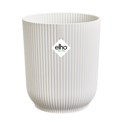 Pot Vibes fold orchidee