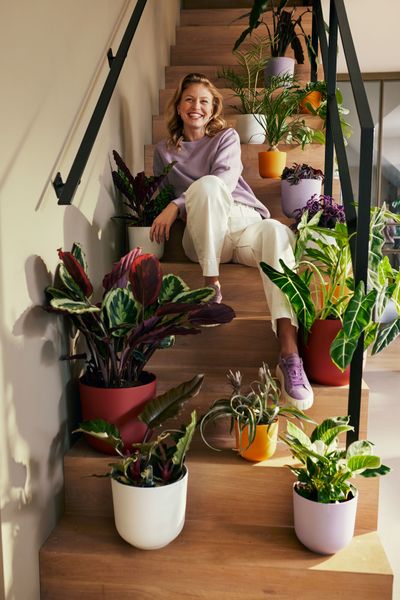 Pot jazz rond 14cm lavande lilas