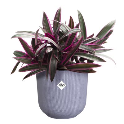 Pot jazz rond 16cm lavendel lila