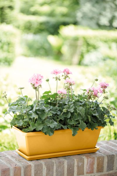 Barcelona balkonbak schotel