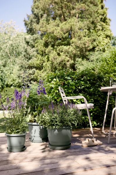 Amiga rond 35 thyme green