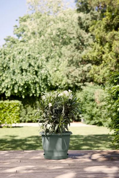 Loft urban soucoupe ronde 24 thyme green