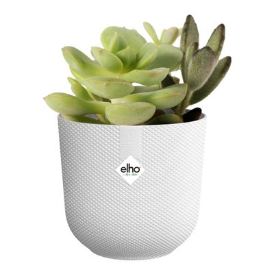 Jazz rond mini 7Ø 7xh7