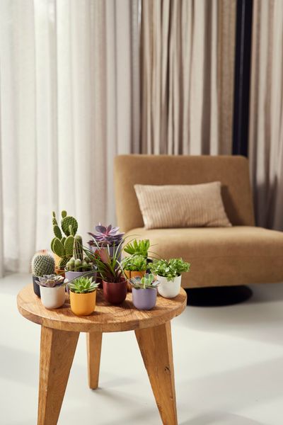 Jazz rond mini 7Ø 7xh7