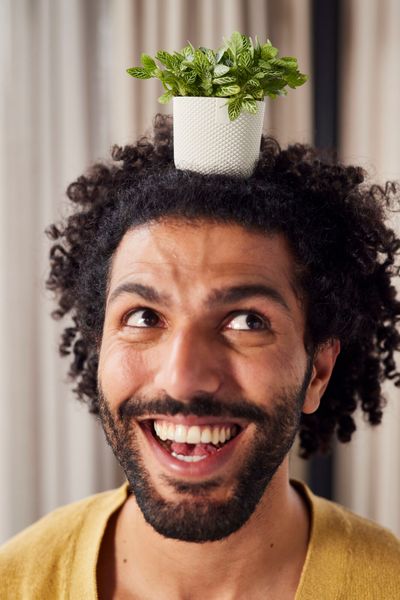 Jazz rond mini 7Ø 7xh7