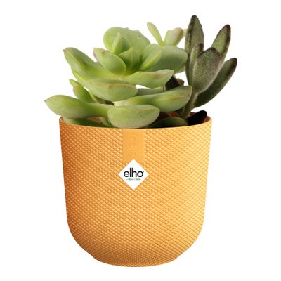 Jazz rond mini 9l 9xh9