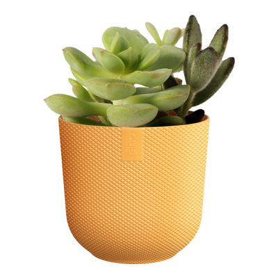 Jazz rond mini 9l 9xh9