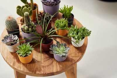 Jazz rond mini 9l 9xh9