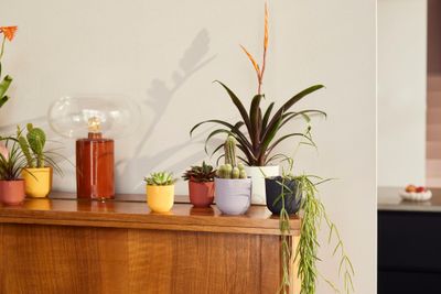 Jazz rond mini 9l 9xh9