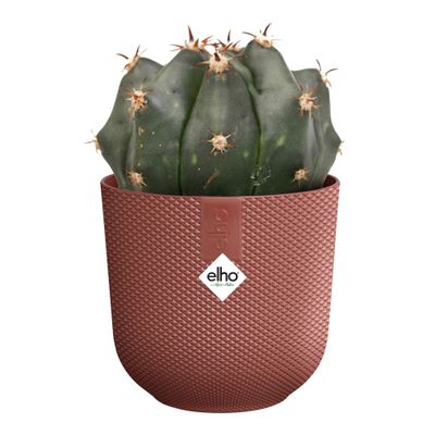 Jazz rond mini 11l 11xh10