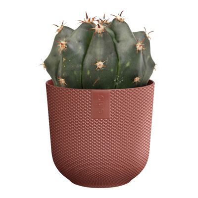 Jazz rond mini 11l 11xh10