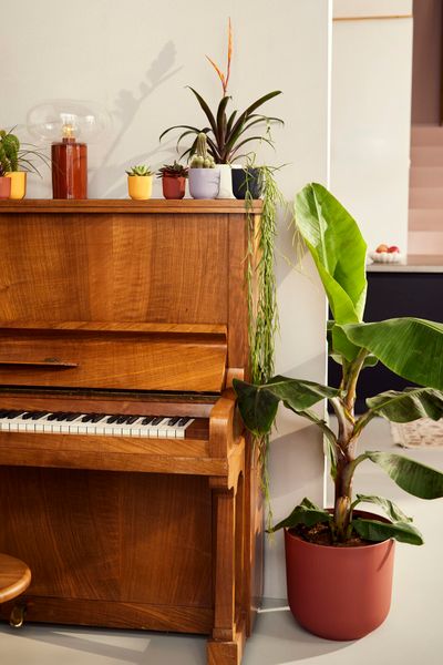 Jazz rond mini 11l 11xh10