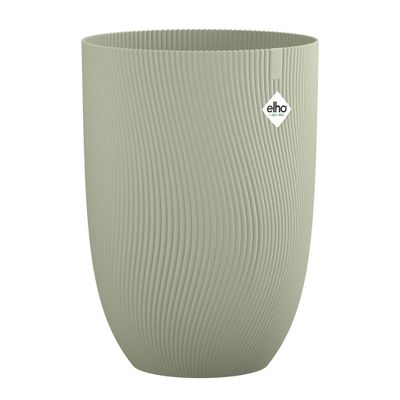 Sereh haut 40cm