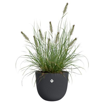 Sereh rond 25l25xh21