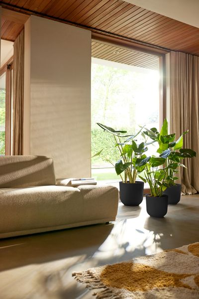 Jazz rond 30l 30xh27