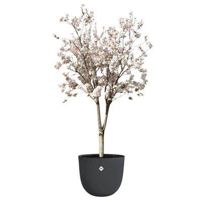 Pot sereh rond 47cm  