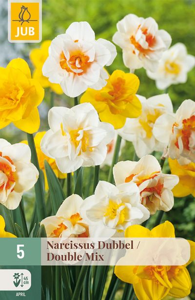 5 narcissus double mix